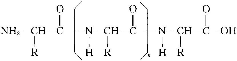 一、酶的結(jié)構(gòu)和催化機(jī)制